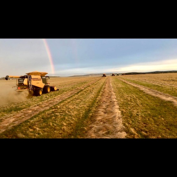 Meet your Posher, Shanelle - Picture 1 of 1